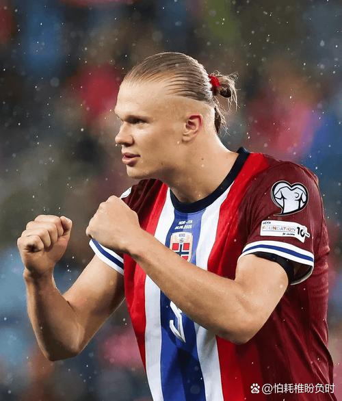 海于格：我加盟米兰的跳跃很大但注定会发生 哈兰德是挪威队领袖